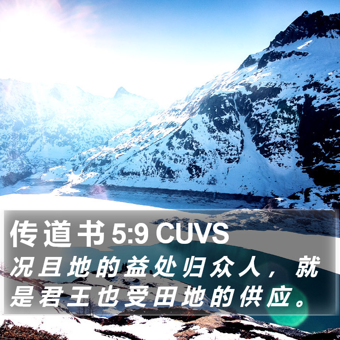 传 道 书 5:9 CUVS Bible Study