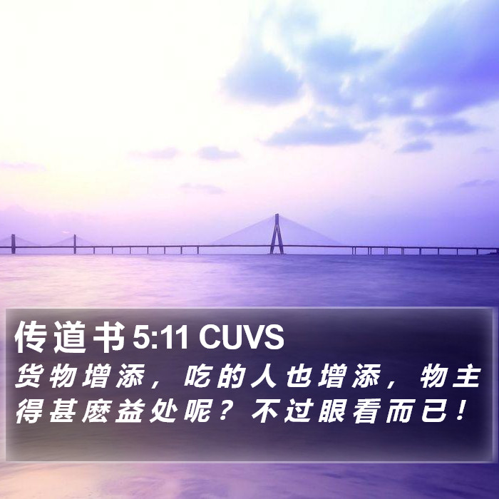 传 道 书 5:11 CUVS Bible Study