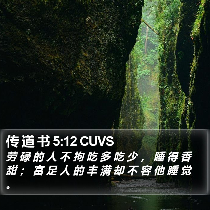 传 道 书 5:12 CUVS Bible Study