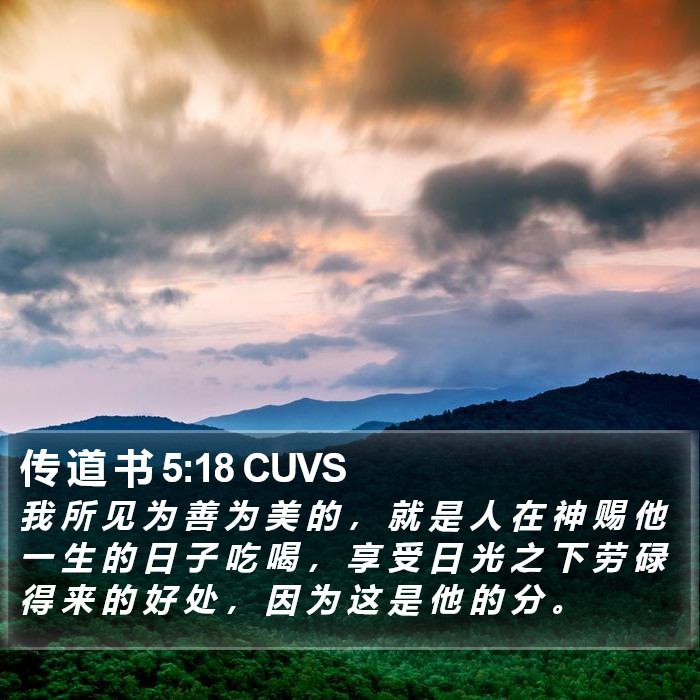 传 道 书 5:18 CUVS Bible Study