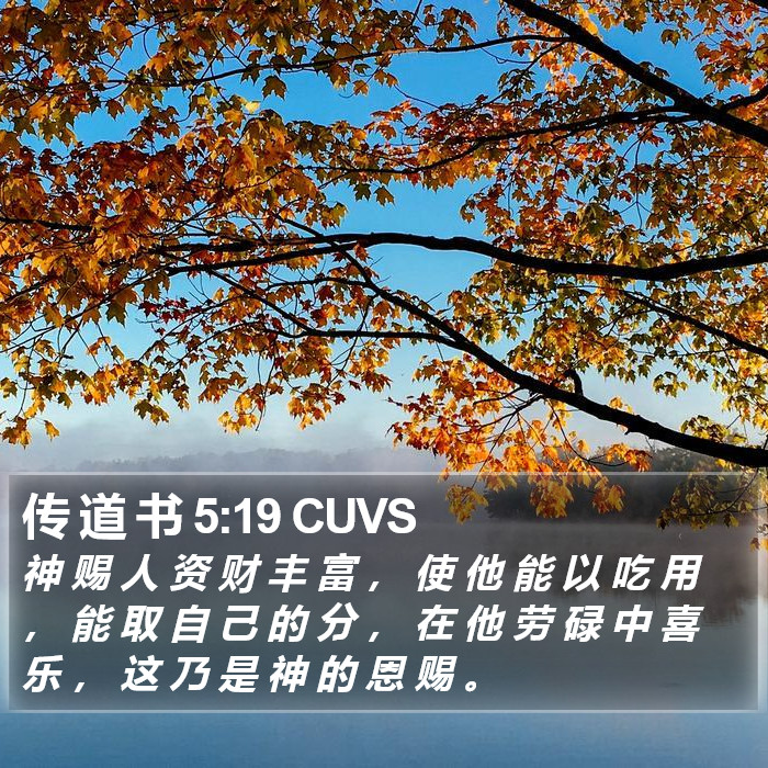 传 道 书 5:19 CUVS Bible Study