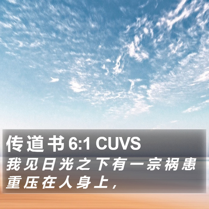 传 道 书 6:1 CUVS Bible Study