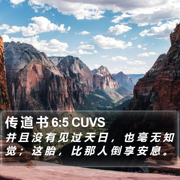 传 道 书 6:5 CUVS Bible Study