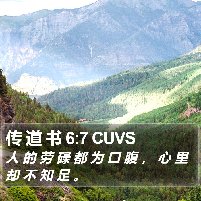 传 道 书 6:7 CUVS Bible Study