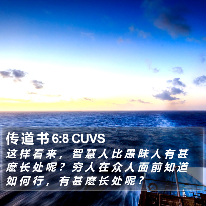 传 道 书 6:8 CUVS Bible Study