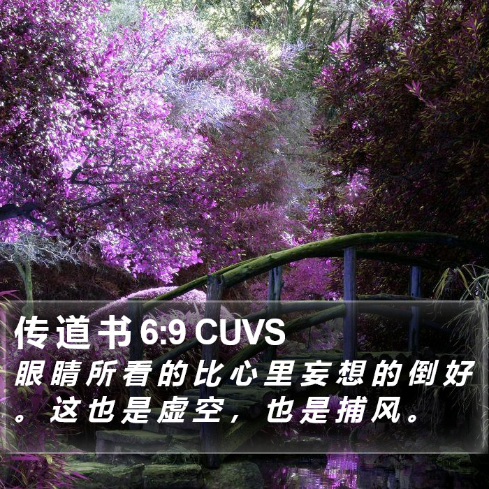 传 道 书 6:9 CUVS Bible Study