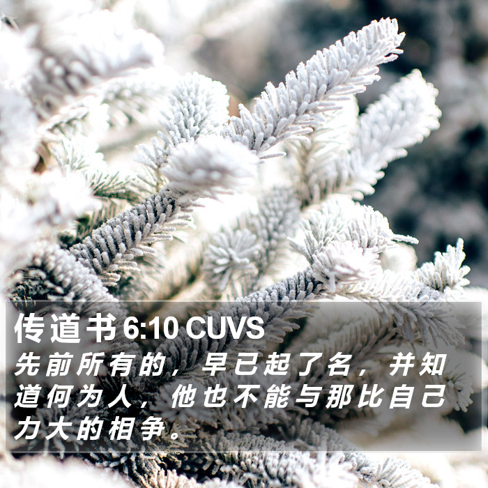 传 道 书 6:10 CUVS Bible Study