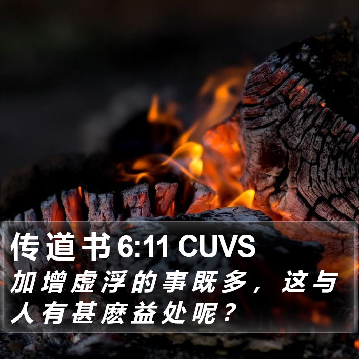 传 道 书 6:11 CUVS Bible Study