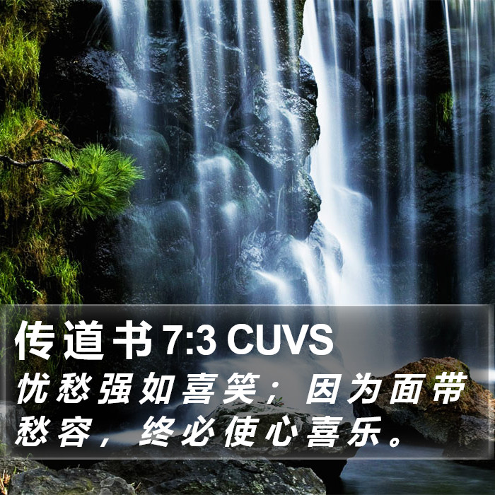 传 道 书 7:3 CUVS Bible Study