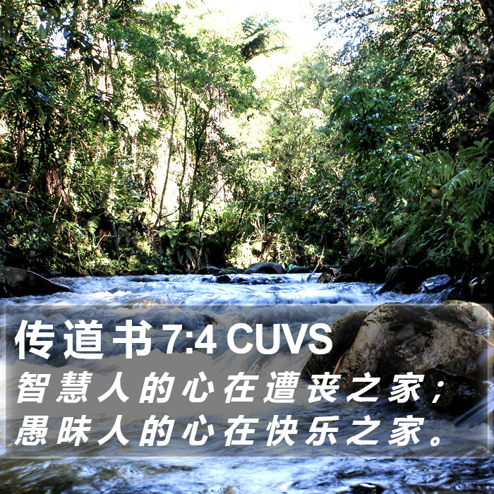 传 道 书 7:4 CUVS Bible Study