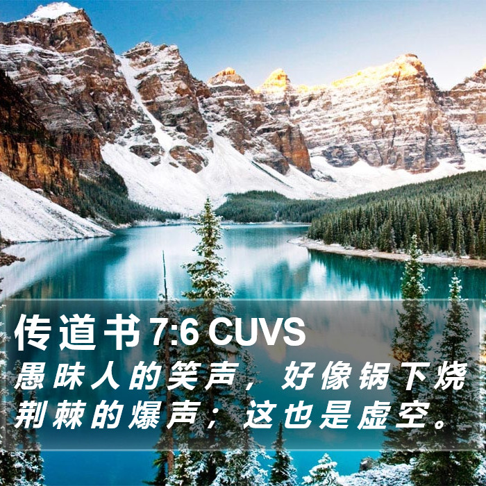 传 道 书 7:6 CUVS Bible Study