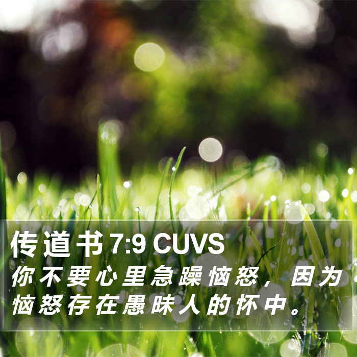 传 道 书 7:9 CUVS Bible Study