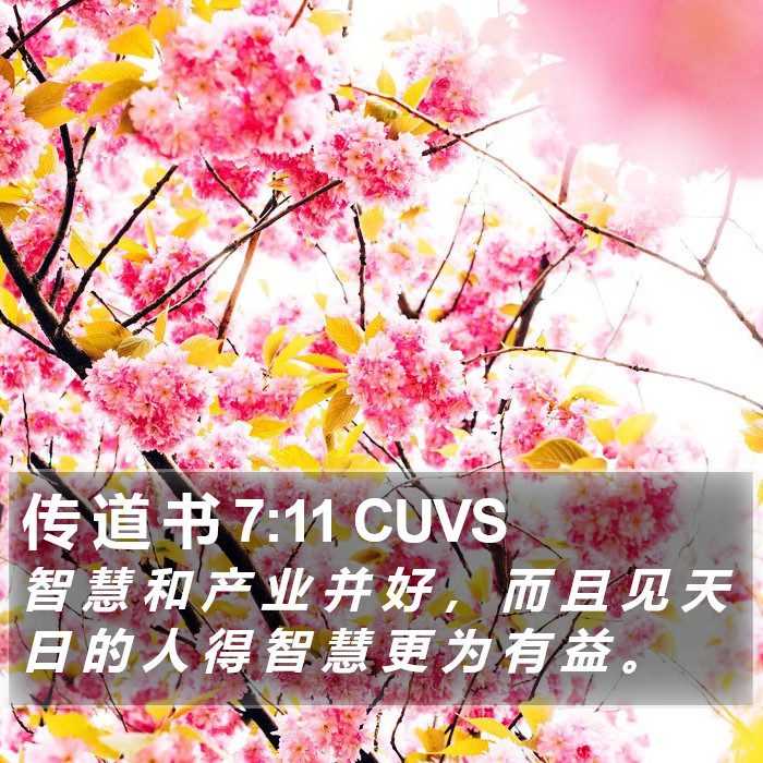 传 道 书 7:11 CUVS Bible Study