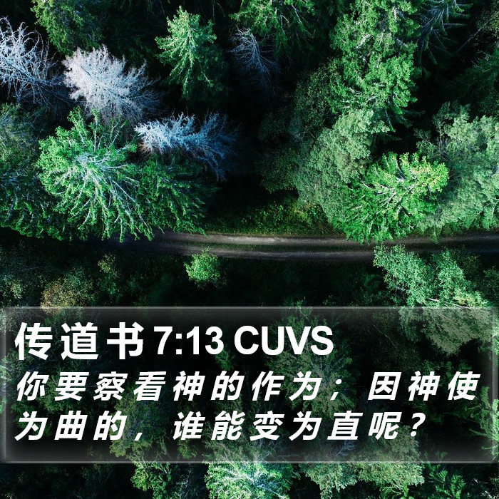 传 道 书 7:13 CUVS Bible Study