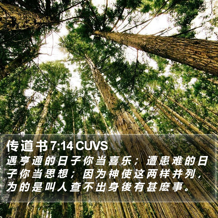 传 道 书 7:14 CUVS Bible Study