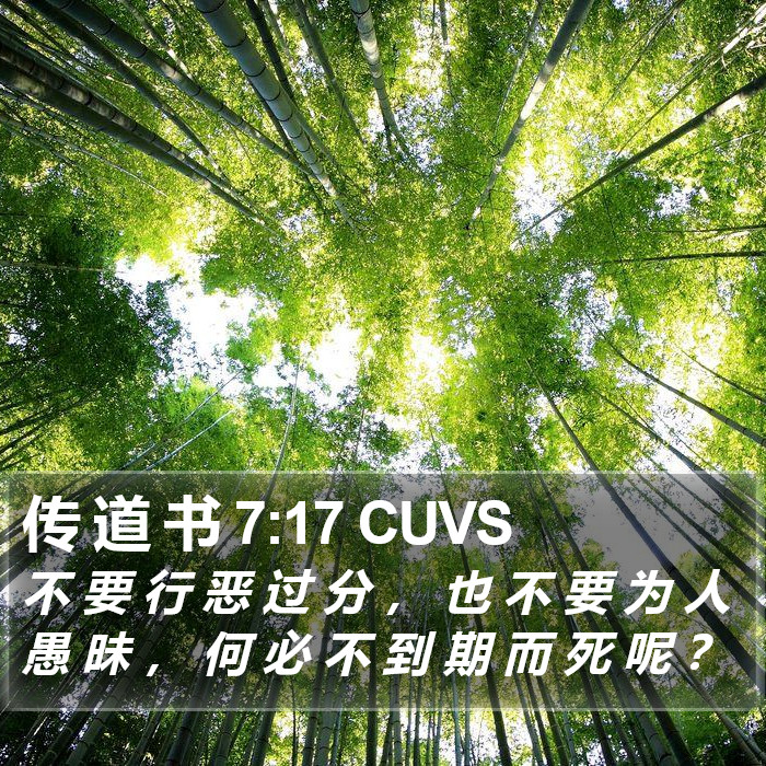 传 道 书 7:17 CUVS Bible Study