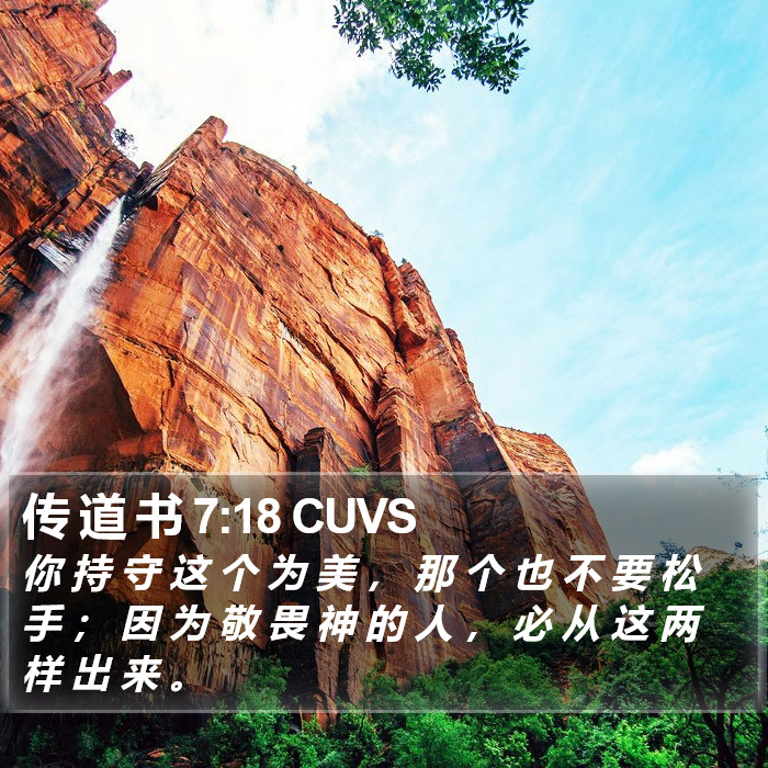 传 道 书 7:18 CUVS Bible Study