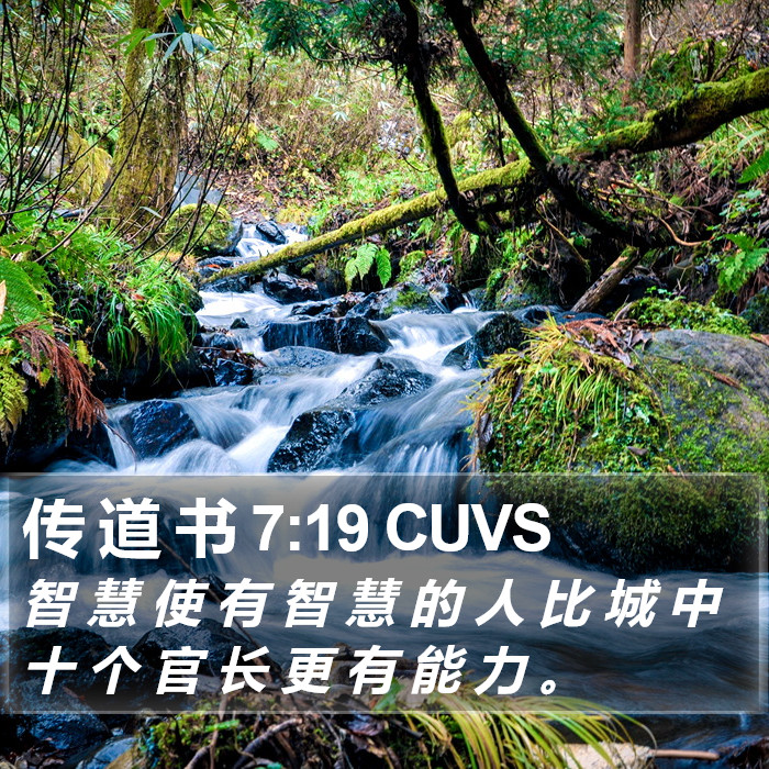 传 道 书 7:19 CUVS Bible Study