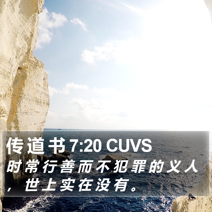 传 道 书 7:20 CUVS Bible Study