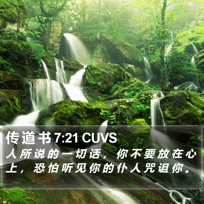 传 道 书 7:21 CUVS Bible Study