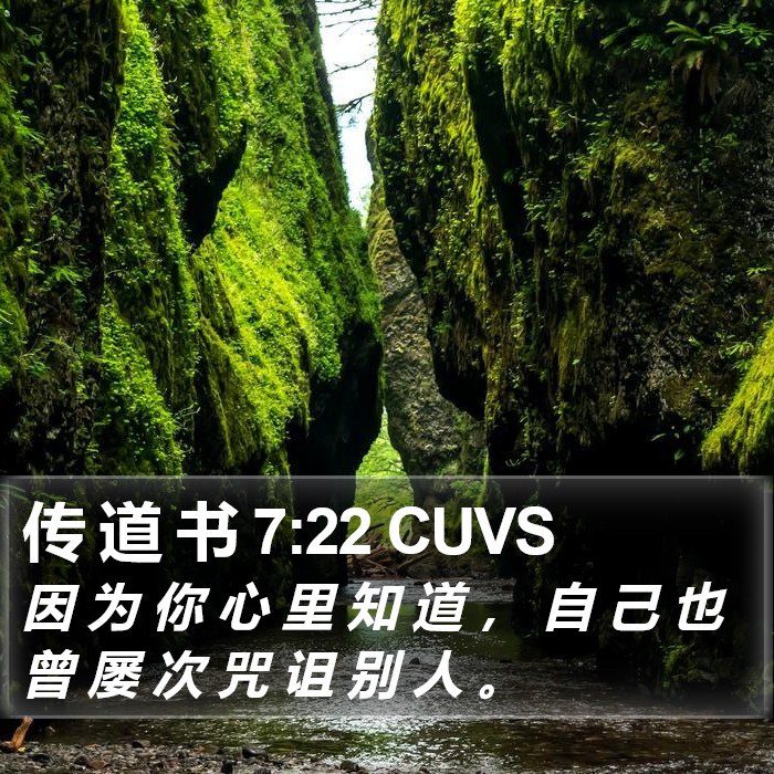 传 道 书 7:22 CUVS Bible Study