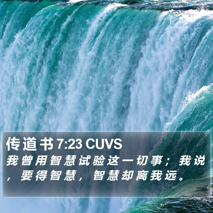 传 道 书 7:23 CUVS Bible Study