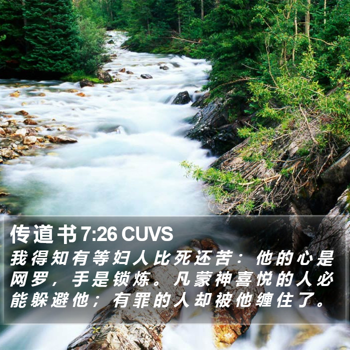 传 道 书 7:26 CUVS Bible Study