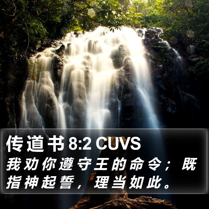 传 道 书 8:2 CUVS Bible Study