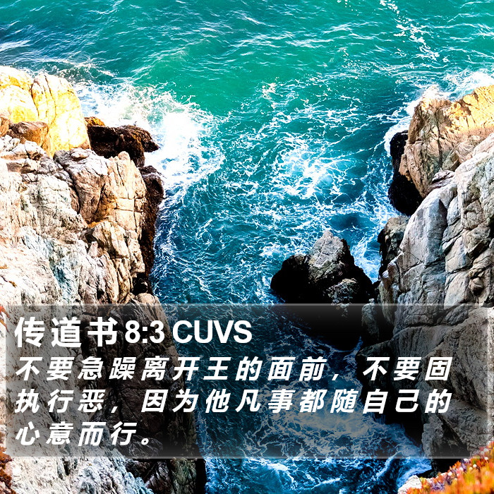 传 道 书 8:3 CUVS Bible Study