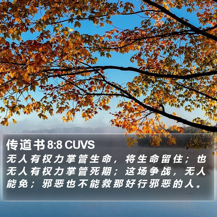 传 道 书 8:8 CUVS Bible Study