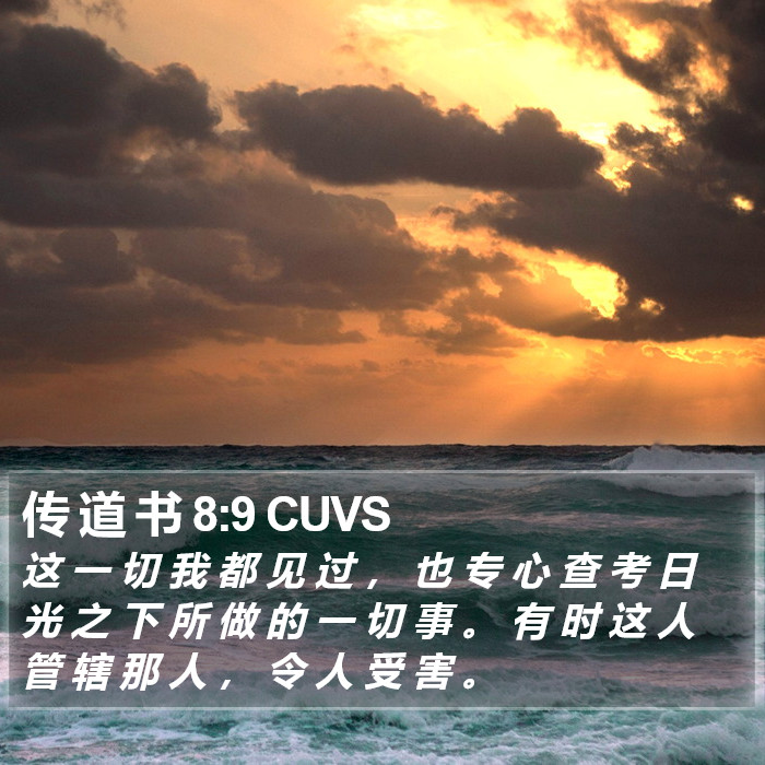 传 道 书 8:9 CUVS Bible Study