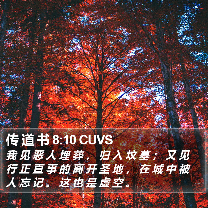 传 道 书 8:10 CUVS Bible Study