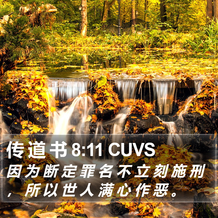 传 道 书 8:11 CUVS Bible Study