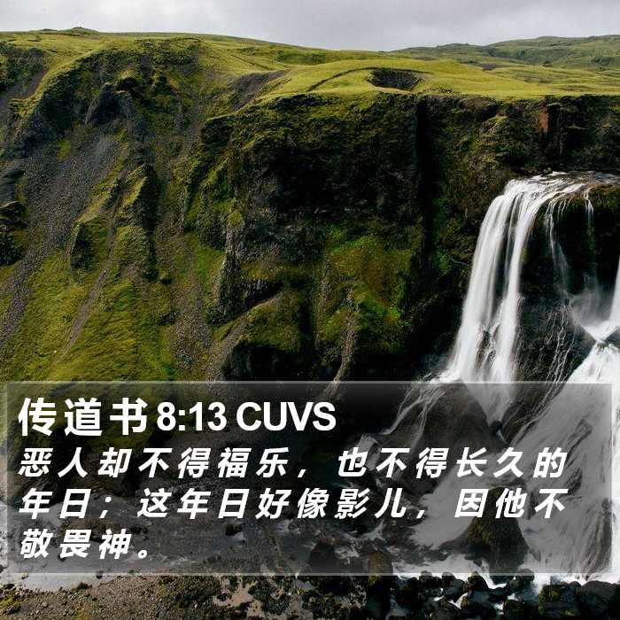 传 道 书 8:13 CUVS Bible Study