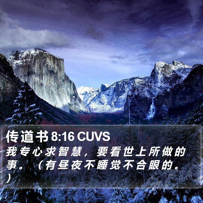 传 道 书 8:16 CUVS Bible Study