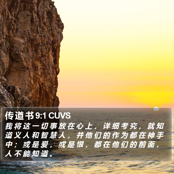 传 道 书 9:1 CUVS Bible Study