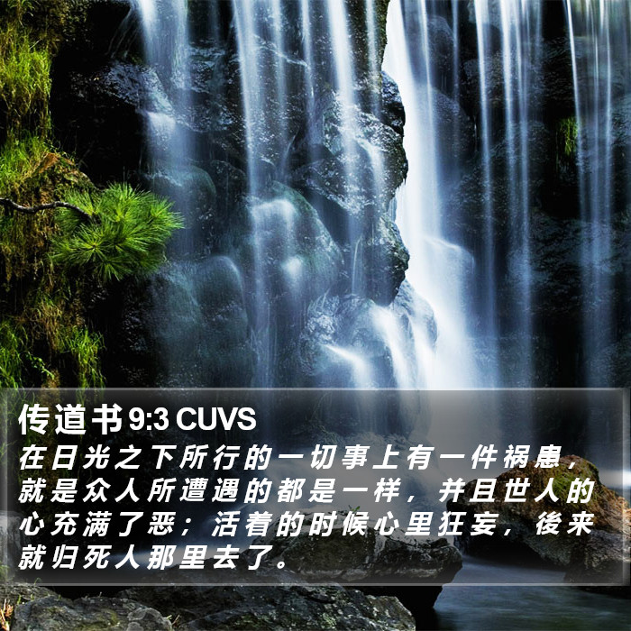 传 道 书 9:3 CUVS Bible Study