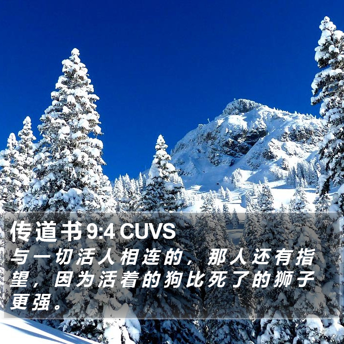 传 道 书 9:4 CUVS Bible Study