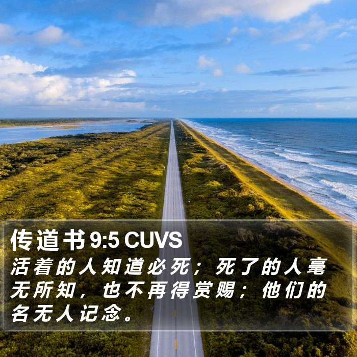 传 道 书 9:5 CUVS Bible Study