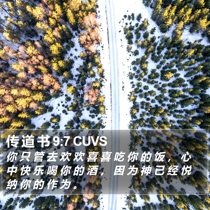 传 道 书 9:7 CUVS Bible Study