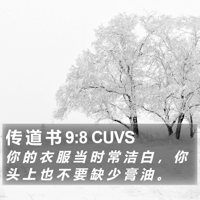 传 道 书 9:8 CUVS Bible Study