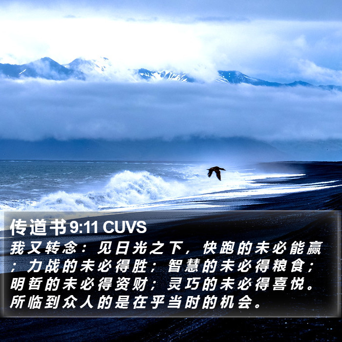 传 道 书 9:11 CUVS Bible Study