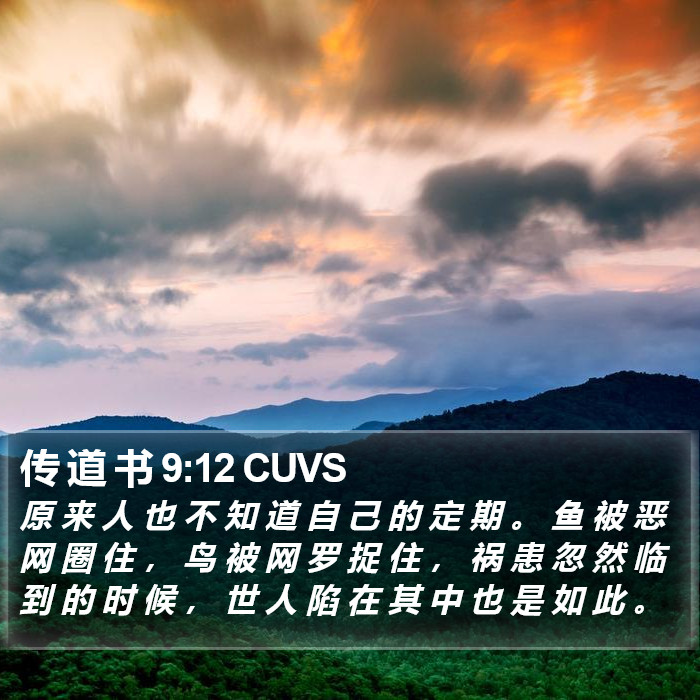 传 道 书 9:12 CUVS Bible Study