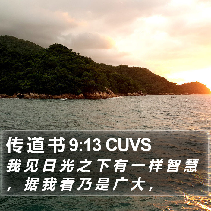 传 道 书 9:13 CUVS Bible Study