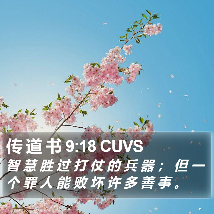 传 道 书 9:18 CUVS Bible Study