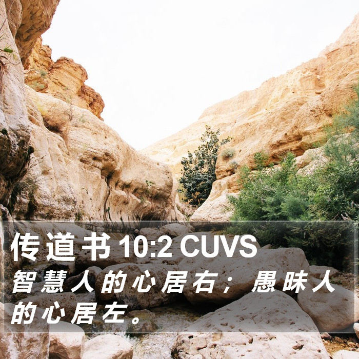 传 道 书 10:2 CUVS Bible Study