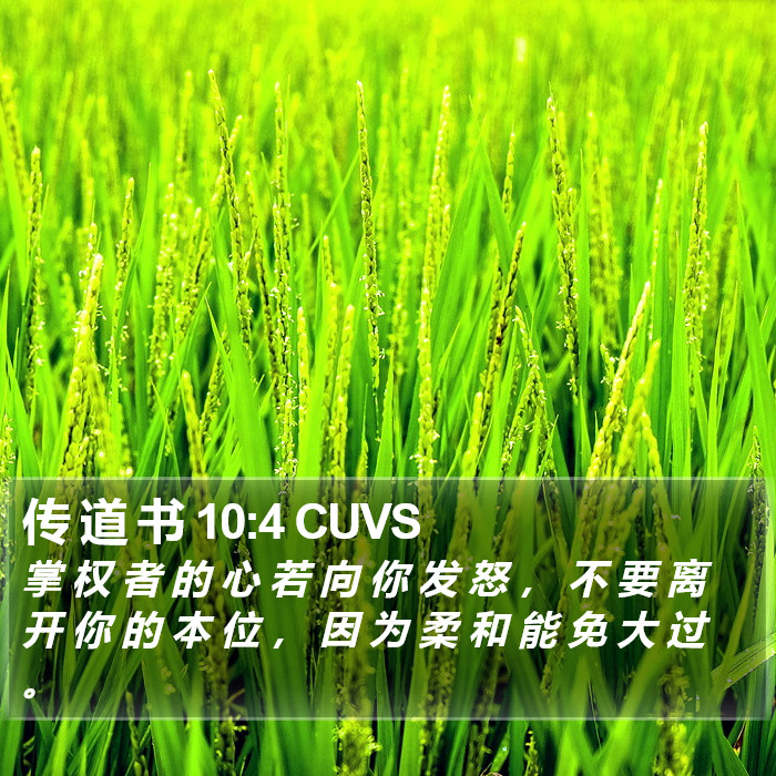 传 道 书 10:4 CUVS Bible Study