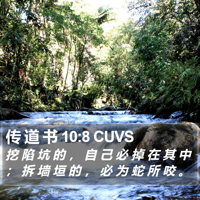 传 道 书 10:8 CUVS Bible Study