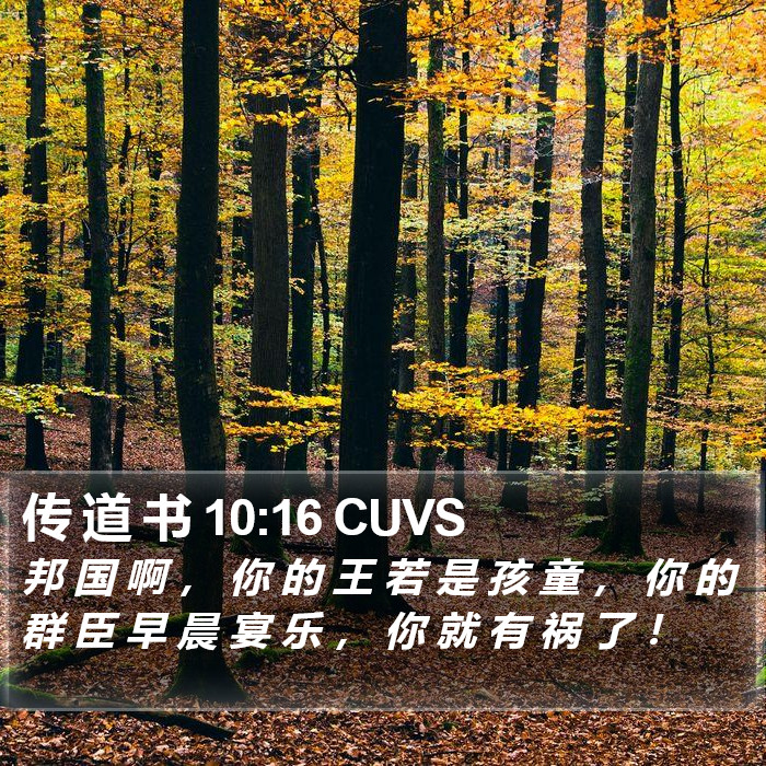 传 道 书 10:16 CUVS Bible Study