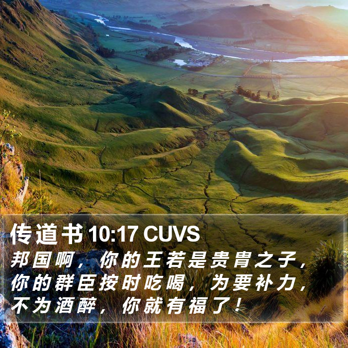 传 道 书 10:17 CUVS Bible Study